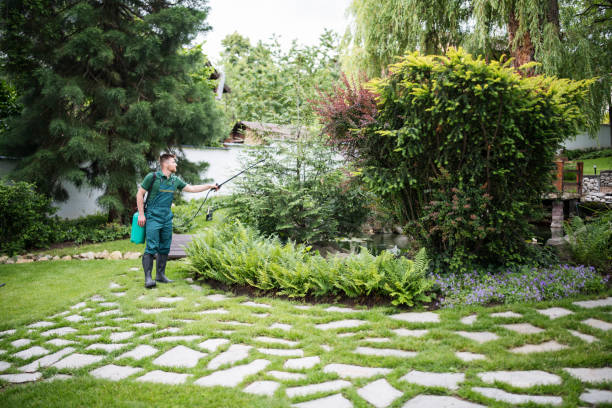 Best Ant Control Services  in Queen City, TX