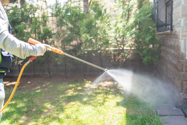 Best Best Pest Control Companies  in Queen City, TX