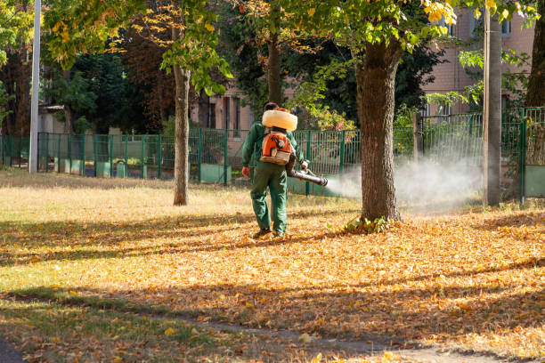 Best Pest Prevention Services  in Queen City, TX